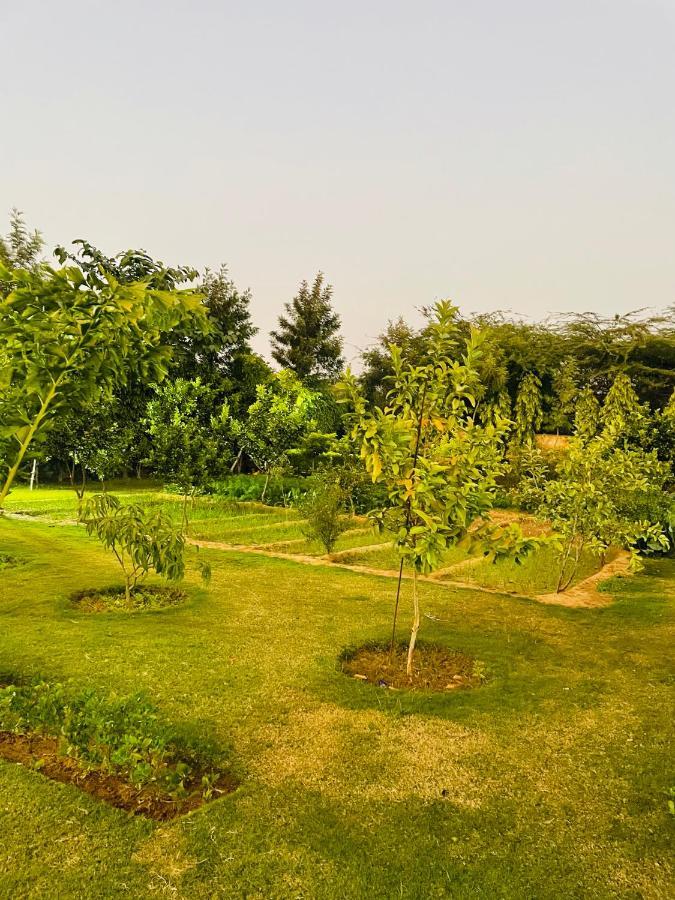 فيلا غورغاونفي Anantam Aravali المظهر الخارجي الصورة